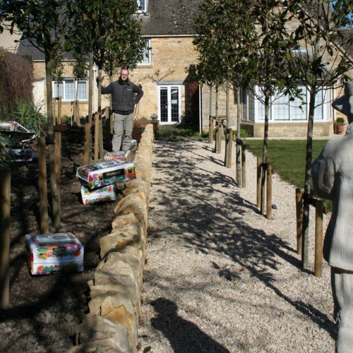 An avenue of trees planted along a Cotswold stone walled driveway